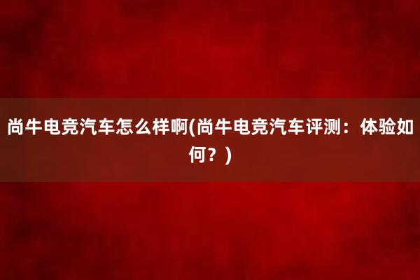 尚牛电竞汽车怎么样啊(尚牛电竞汽车评测：体验如何？)