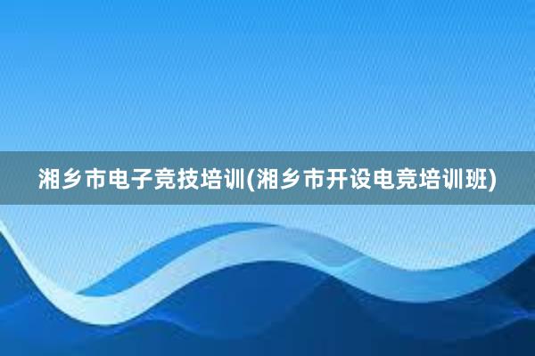 湘乡市电子竞技培训(湘乡市开设电竞培训班)