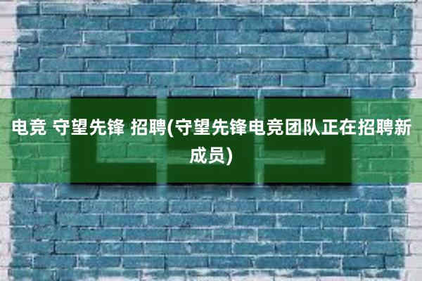 电竞 守望先锋 招聘(守望先锋电竞团队正在招聘新成员)