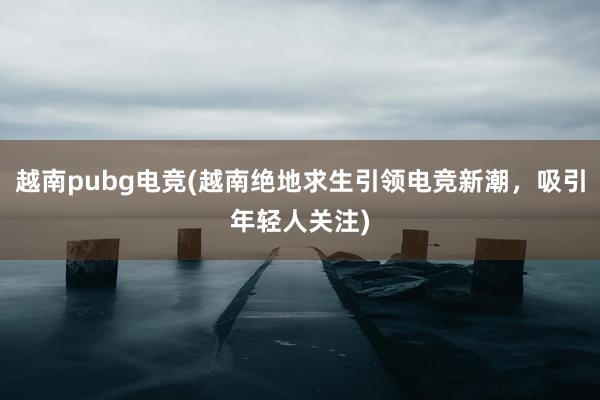 越南pubg电竞(越南绝地求生引领电竞新潮，吸引年轻人关注)