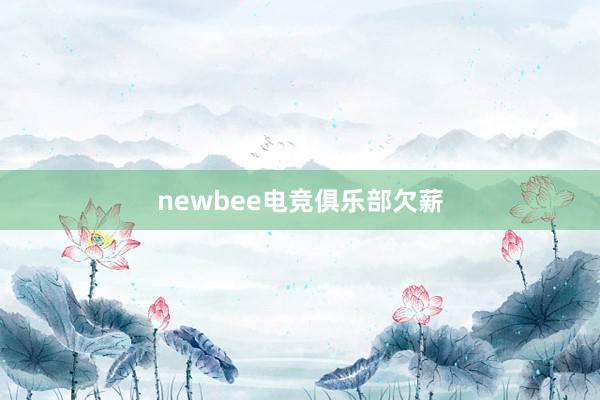 newbee电竞俱乐部欠薪