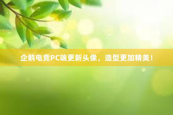 企鹅电竞PC端更新头像，造型更加精美！