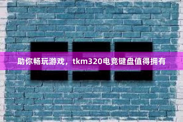 助你畅玩游戏，tkm320电竞键盘值得拥有