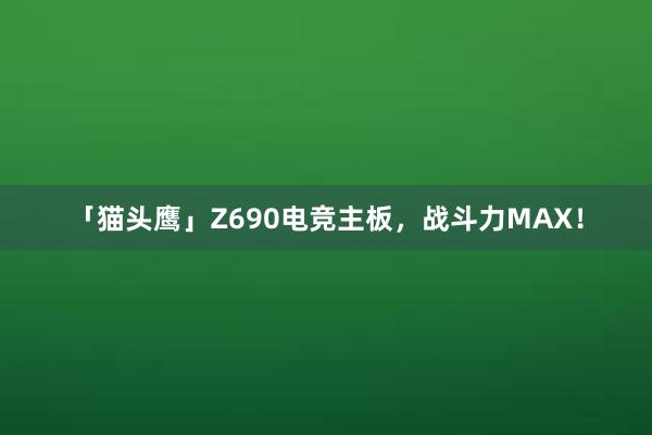 「猫头鹰」Z690电竞主板，战斗力MAX！