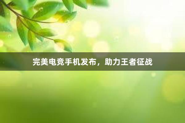 完美电竞手机发布，助力王者征战