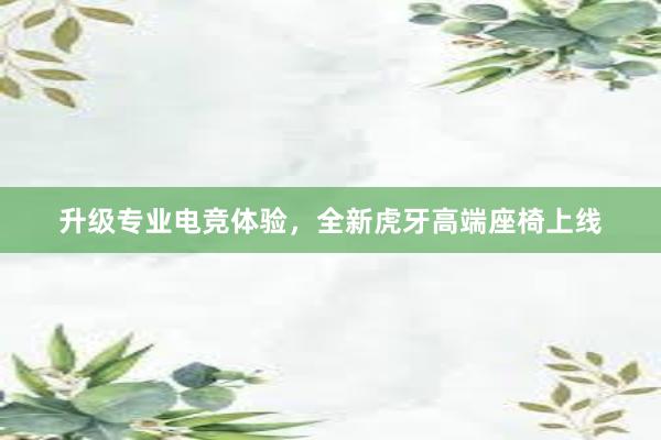 升级专业电竞体验，全新虎牙高端座椅上线