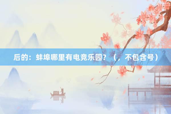 后的：蚌埠哪里有电竞乐园？（，不包含号）