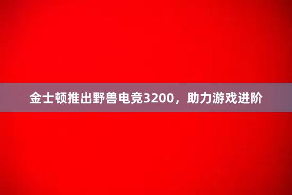 金士顿推出野兽电竞3200，助力游戏进阶